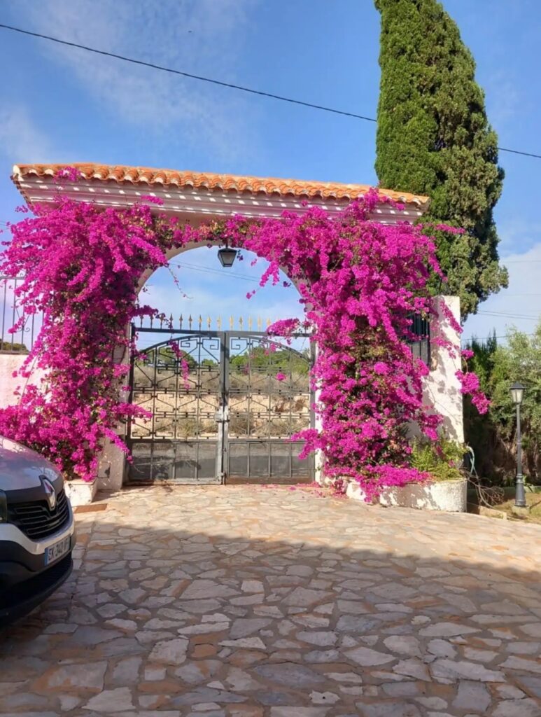Mediterranean gardens and palm trees at the Divorce to Domination™ Experience venue in Alicante.