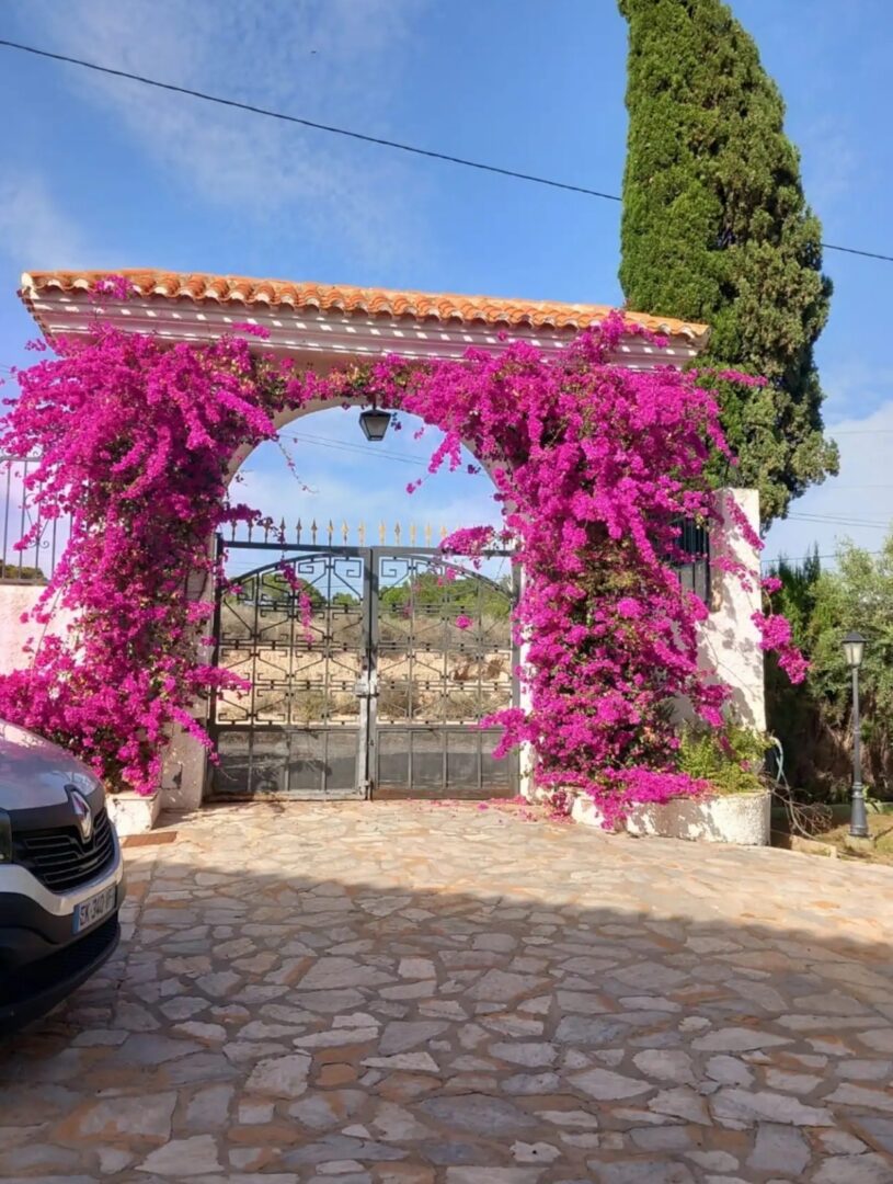 Mediterranean gardens and palm trees at the Divorce to Domination™ Experience venue in Alicante.